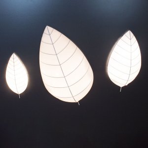 Люстра Imperium Light Leaf 72558.01.01